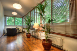 Monsoon Yoga and Pilates Budapest