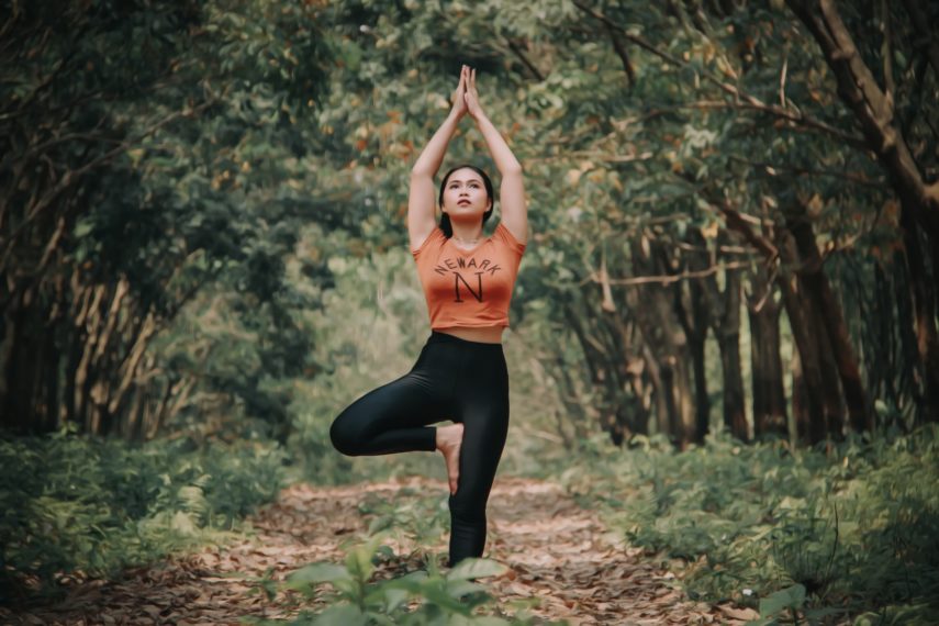 tree poses main types of yoga