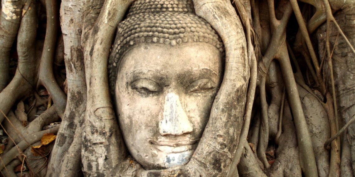 Rewind and Stop: The History of Yoga