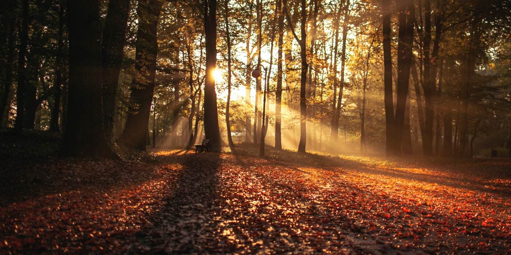 English Yoga & Healthy Lifestyle Events in Budapest, 21-27 Oct.