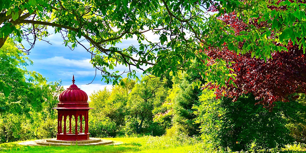 Krisna-völgy: A Place for Your Body and Your Mind