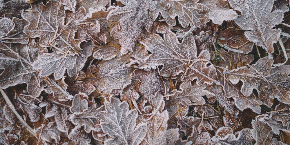 English Yoga & Healthy Lifestyle Events in Budapest, 9-15 Dec.