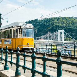 English Yoga & Healthy Lifestyle Events in Budapest, 5-11 May