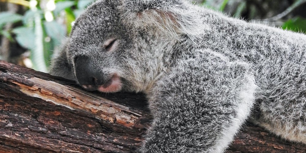 Alvás szokások, melyek segítenek a pihentetőbb alvásban