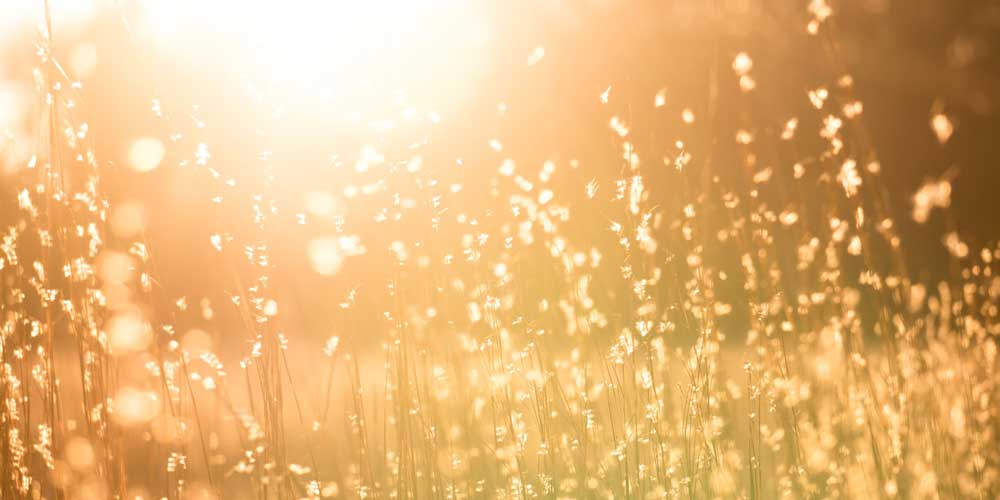 Kezdd a júliust jógával! Programajánló július 1-7.