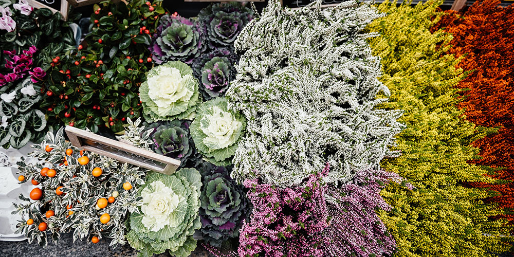 Heti programajánló (október 28-november 3.)