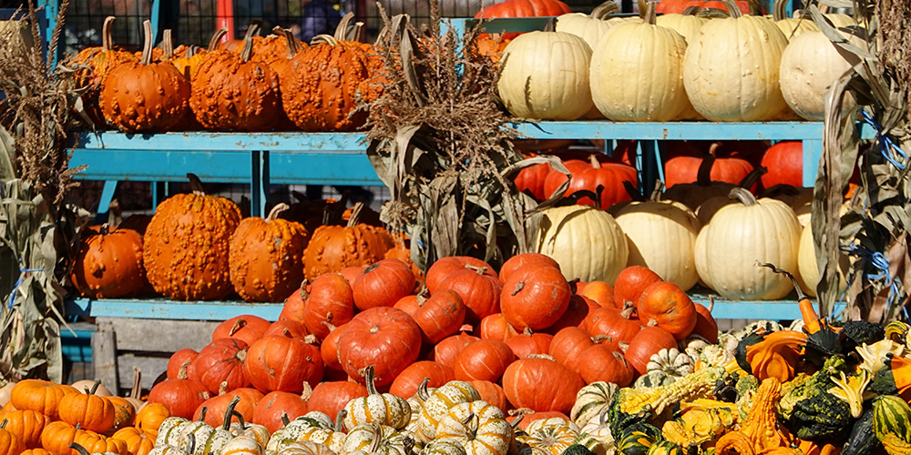 Heti programajánló (október 7-13.)