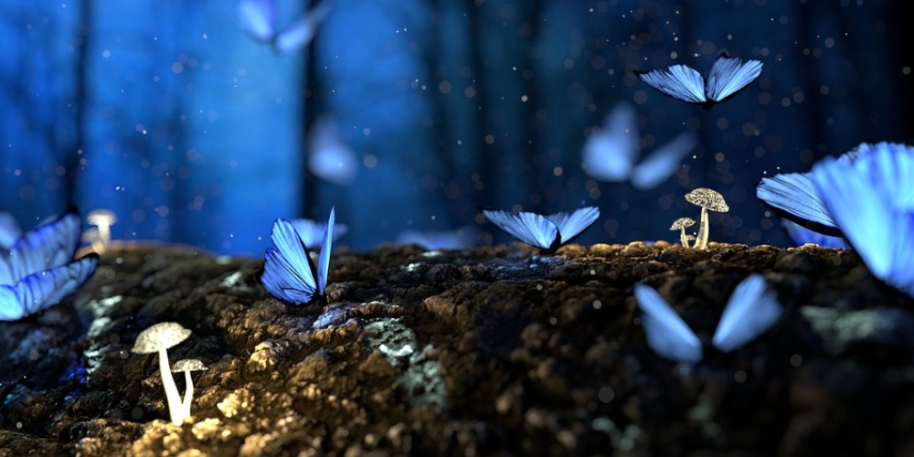 Kik a tündérek? – A 12 főtündér és feladataik