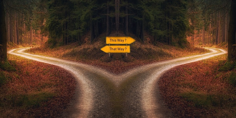 Tudatos döntések az életben