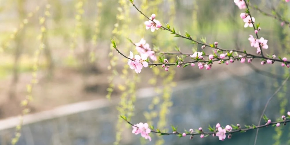 Tavaszi fáradtság ellen jógával