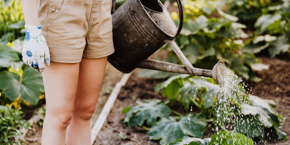 A fenntartható kertészkedés jelentősége