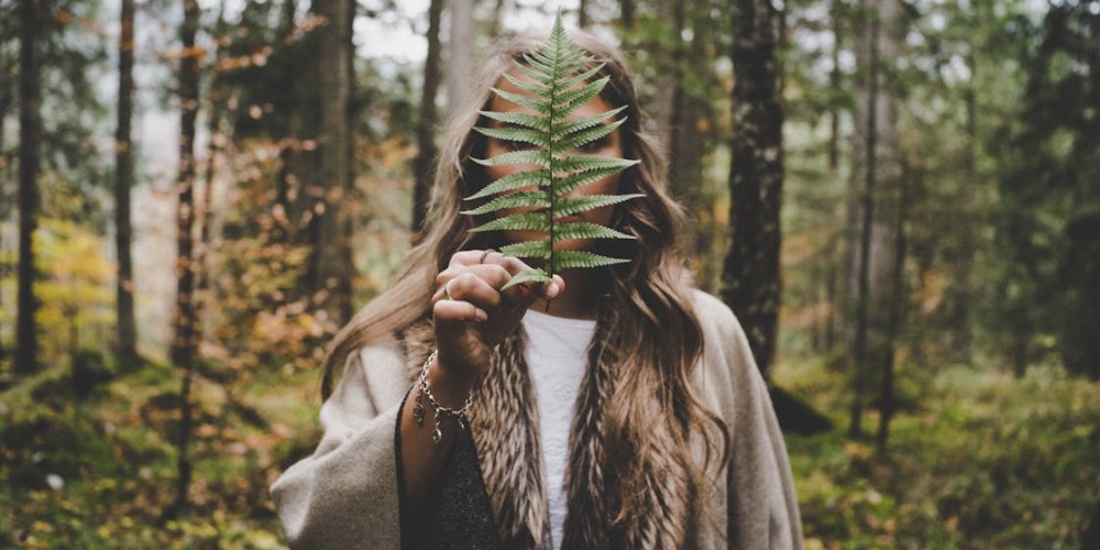 A természet és a kreativitás kapcsolata