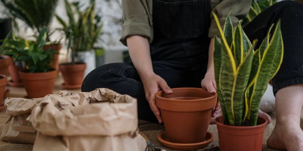 Mire van szükség egy erkélyes kert kialakításához?