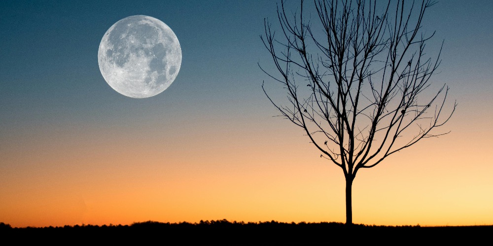 Őszi meditációs gyakorlatok