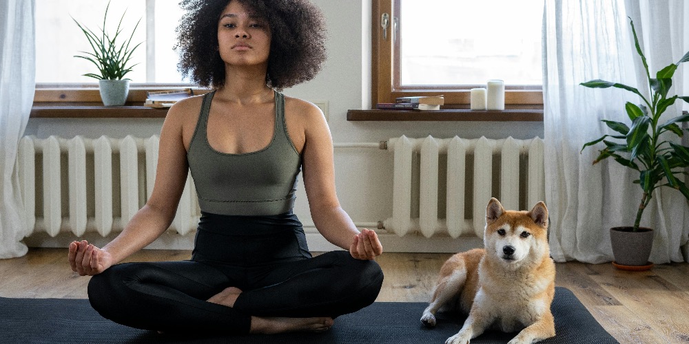 Jóga háziállatokkal