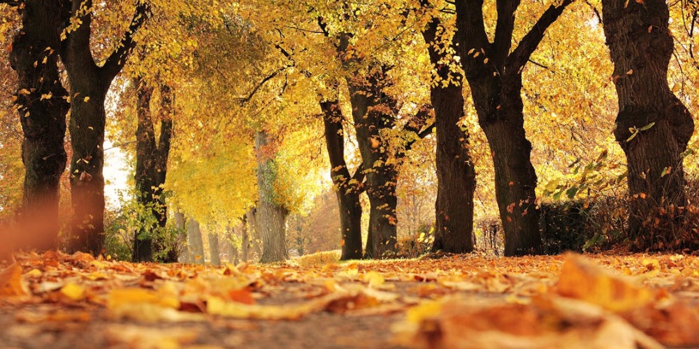 Őszi spirituális gyakorlatok