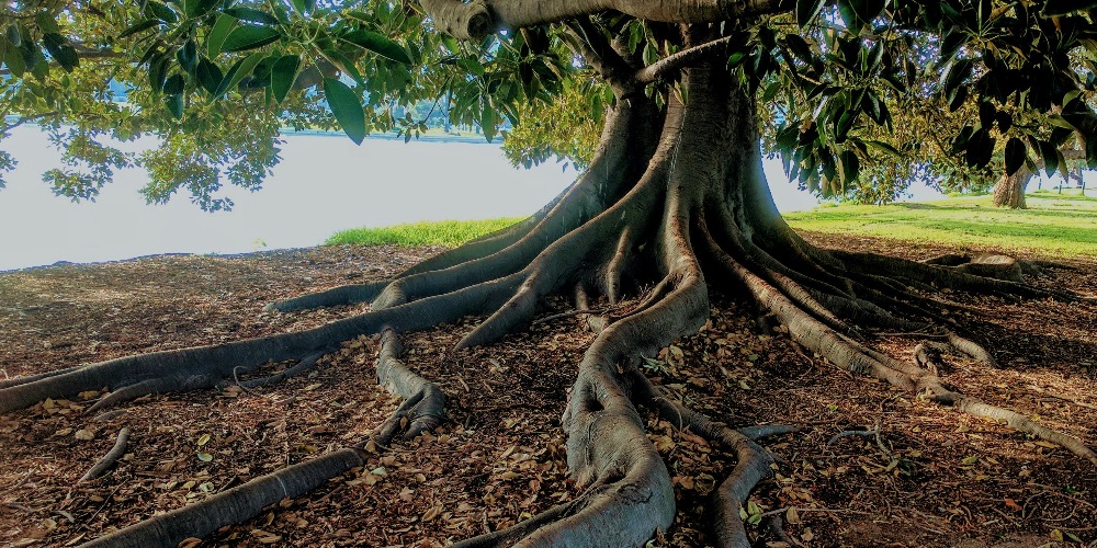 Földelő gyakorlatok őszre és télre