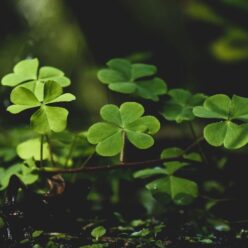 Szerencse bevonzása: 5 egyszerű gyakorlat a mindennapokra