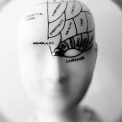 Szomatikus tudatosság – Kapcsolatteremtés a testtel