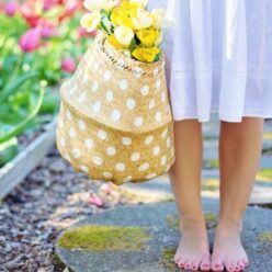 Tavaszi aromaterápia – A megújulás illatai