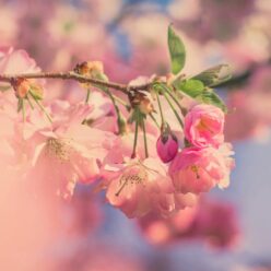 Tavaszi megújulás spirituális szempontból