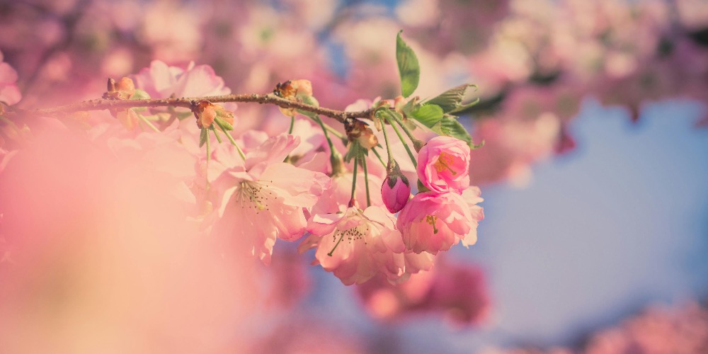 Tavaszi megújulás spirituális szempontból