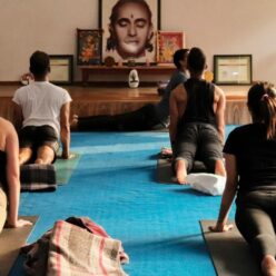 Milyen jógát válasszak? – teljes útmutató kezdőknek